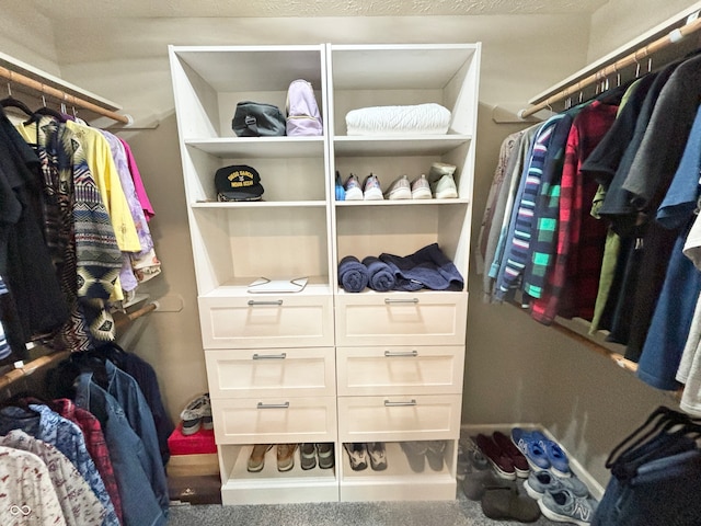 spacious closet featuring carpet flooring