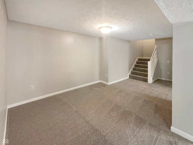 basement featuring carpet flooring