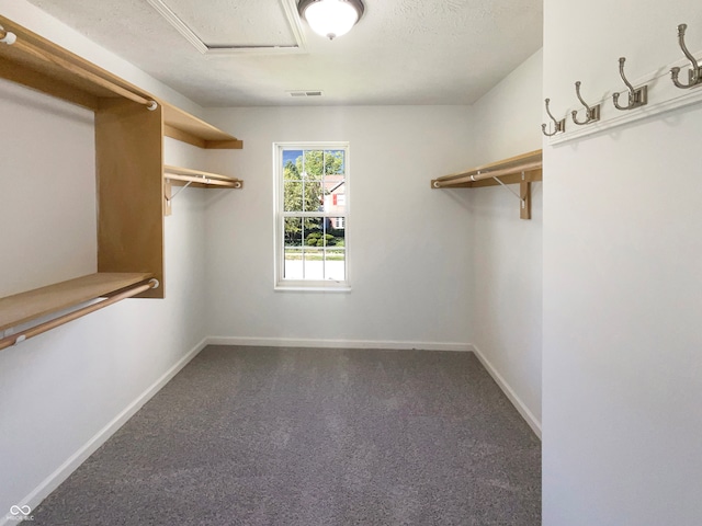 walk in closet featuring dark carpet