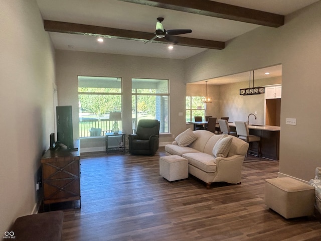 living room with ceiling fan, beamed ceiling, dark hardwood / wood-style flooring, and a healthy amount of sunlight