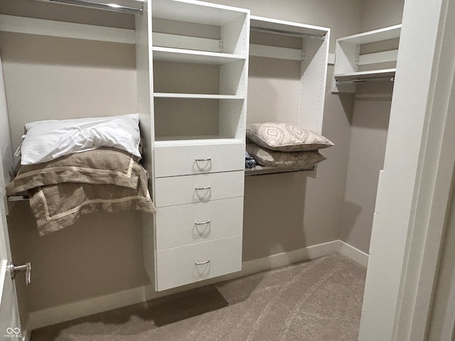 spacious closet with carpet flooring