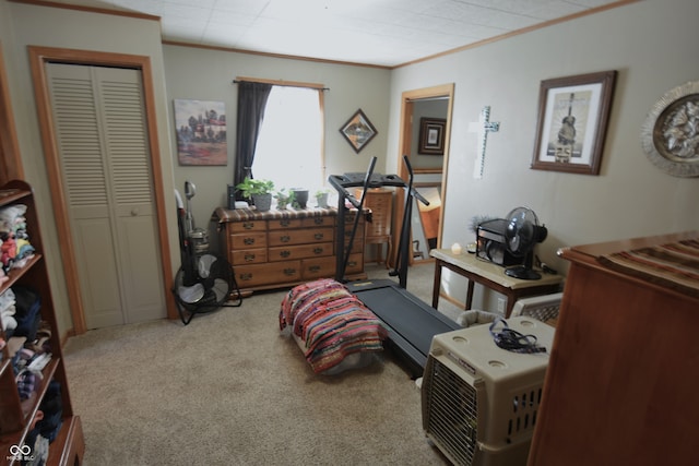 carpeted bedroom with crown molding and a closet