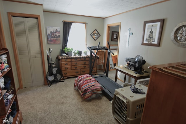 carpeted bedroom featuring a closet and crown molding