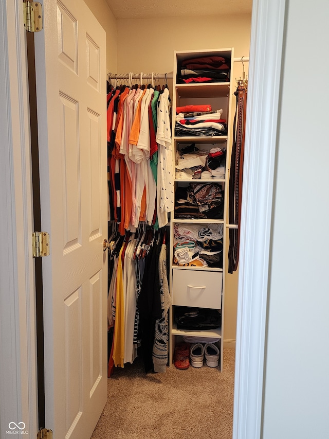 spacious closet with carpet flooring