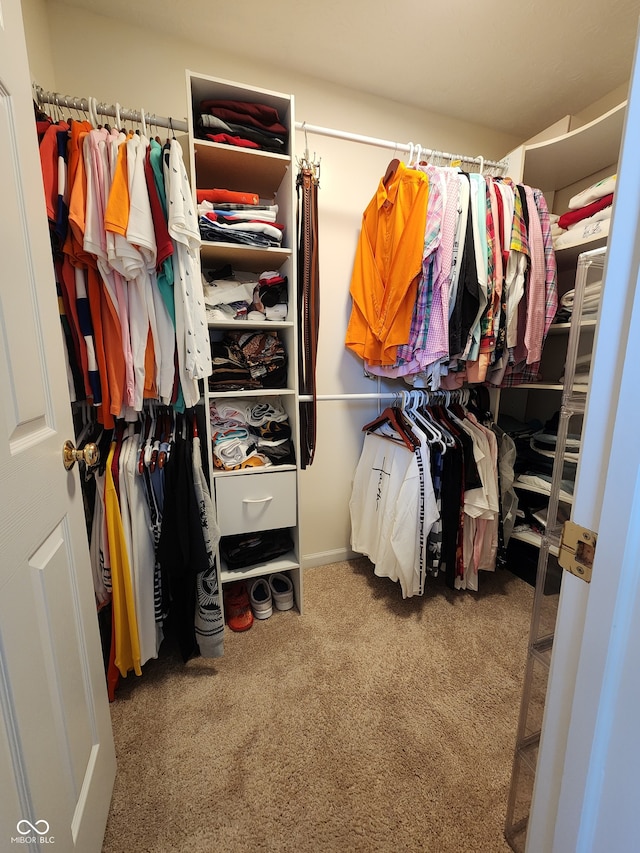 spacious closet featuring carpet