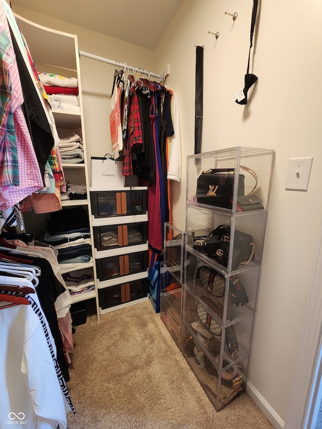 spacious closet featuring carpet