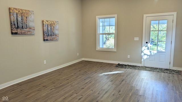 doorway with dark hardwood / wood-style floors