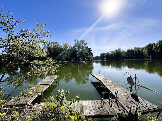 dock area with a water view