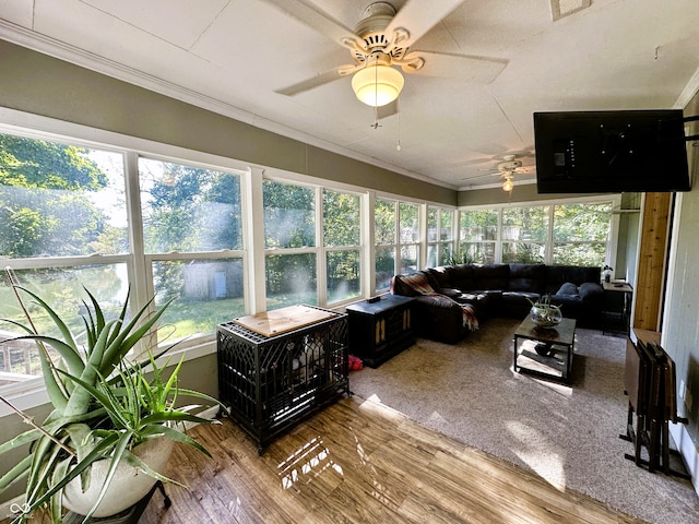 sunroom / solarium with ceiling fan and plenty of natural light