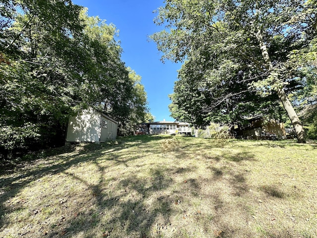 view of yard with a storage shed