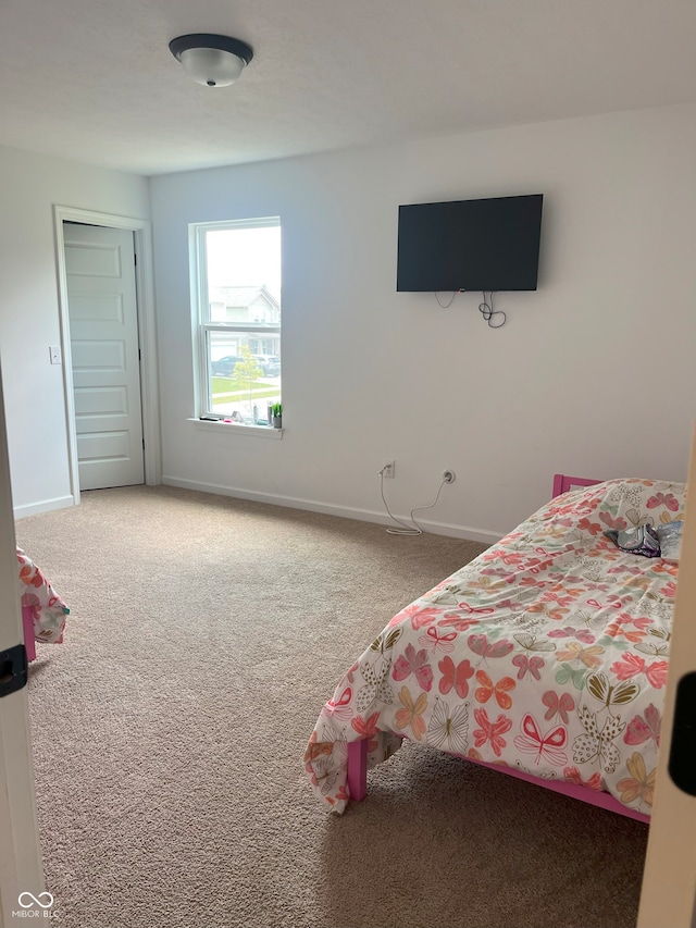 bedroom with a closet and carpet