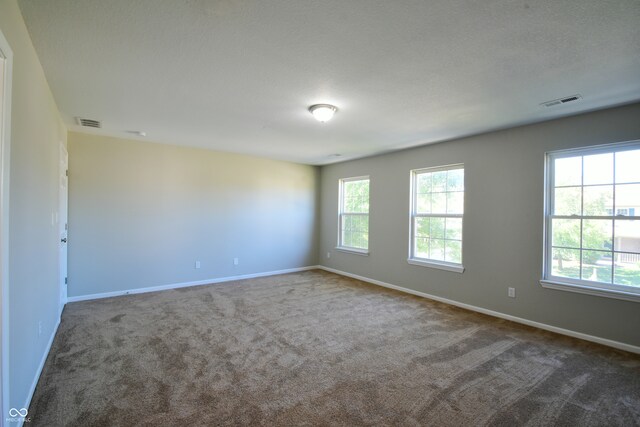 carpeted empty room featuring a textured ceiling and a healthy amount of sunlight