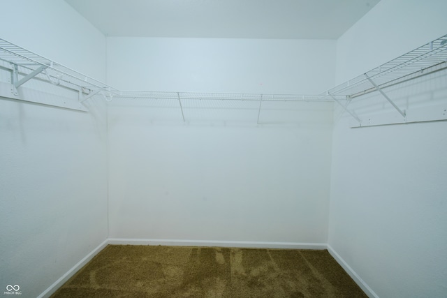 spacious closet with dark colored carpet