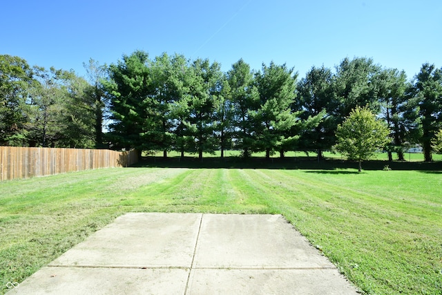 view of yard featuring a patio