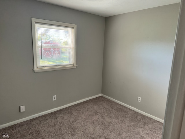 spare room with carpet