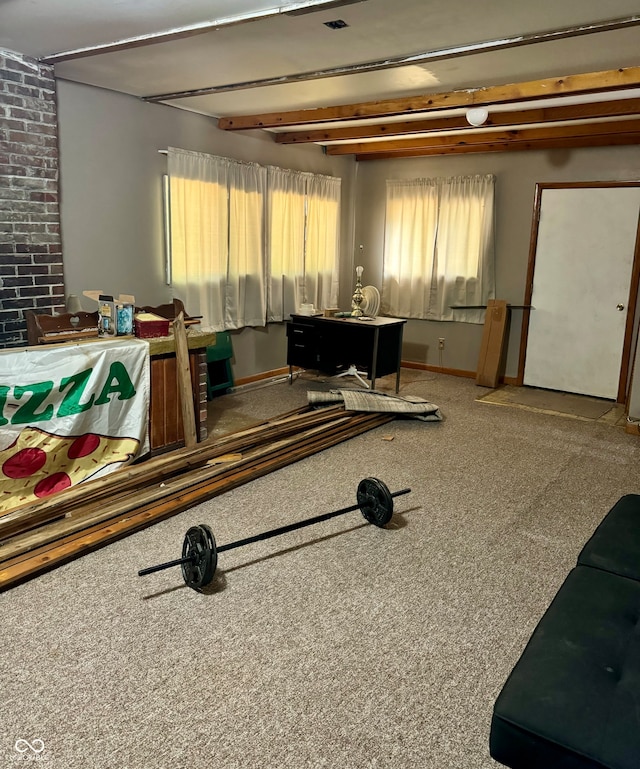 workout room featuring carpet flooring