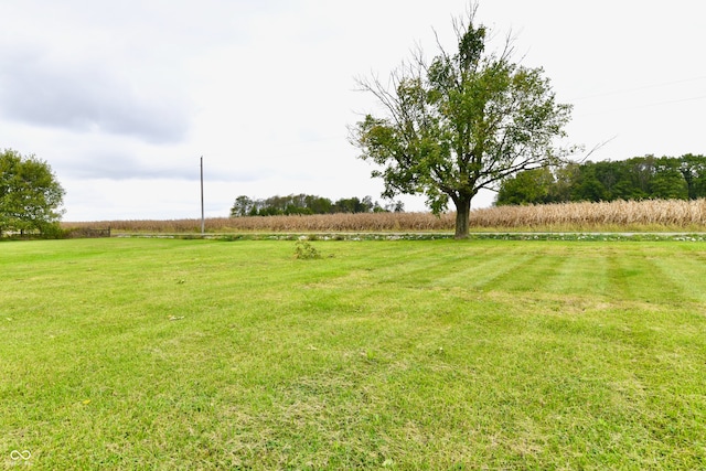 view of yard with a rural view