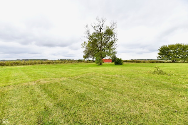 view of yard with a rural view