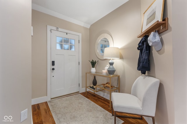 foyer entrance featuring wood-type flooring