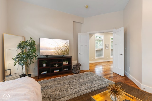 living room featuring hardwood / wood-style floors