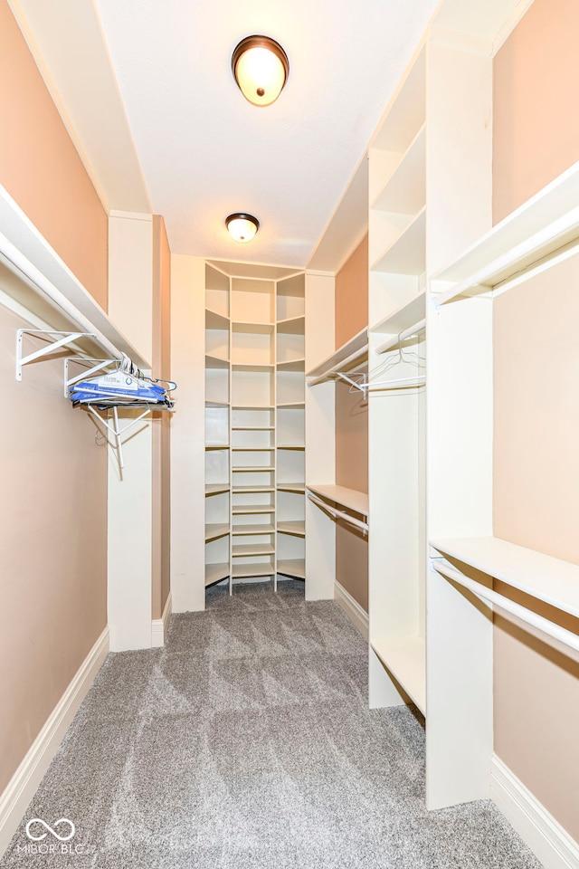 spacious closet featuring carpet