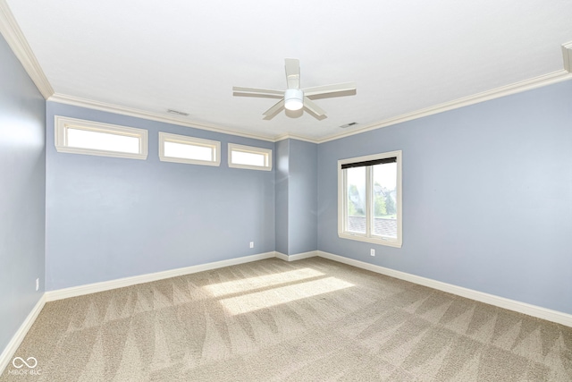 spare room with carpet floors, crown molding, and ceiling fan