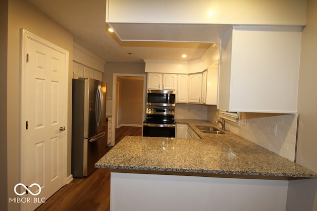 kitchen featuring appliances with stainless steel finishes, kitchen peninsula, light stone counters, and sink