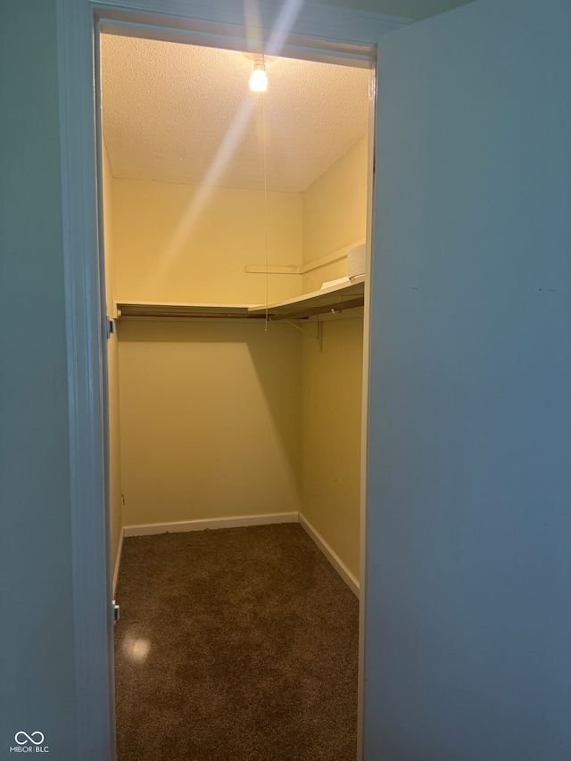 spacious closet featuring dark colored carpet