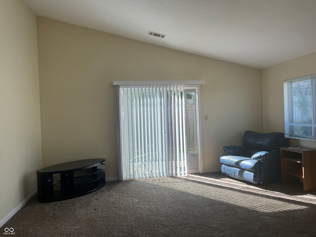 sitting room featuring carpet flooring, lofted ceiling, and a textured ceiling