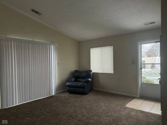 unfurnished room featuring light colored carpet, lofted ceiling, and a textured ceiling