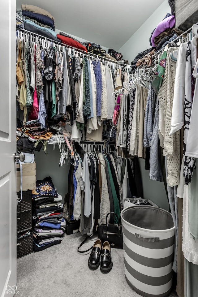 walk in closet with carpet floors