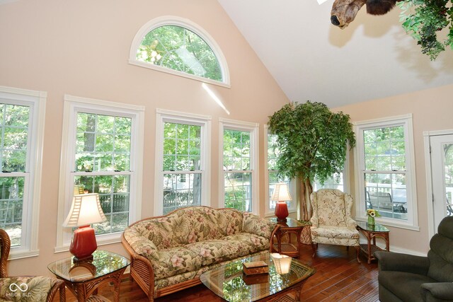 sunroom / solarium with high vaulted ceiling, a healthy amount of sunlight, and hardwood / wood-style floors