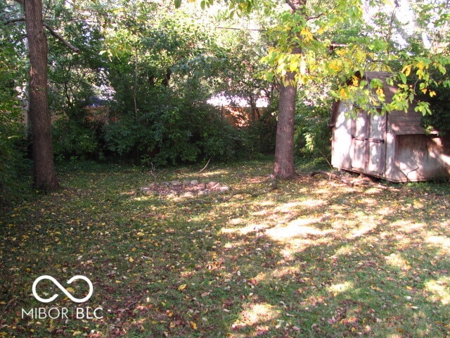 view of yard with a shed