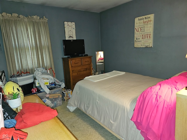 bedroom with carpet floors