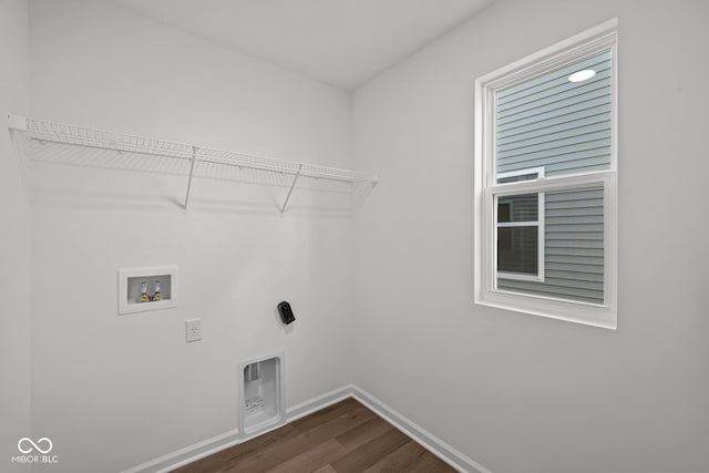 laundry area with washer hookup and dark hardwood / wood-style flooring