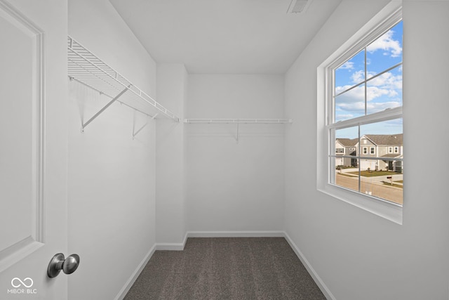 walk in closet featuring dark colored carpet