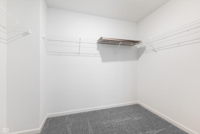 spacious closet with carpet