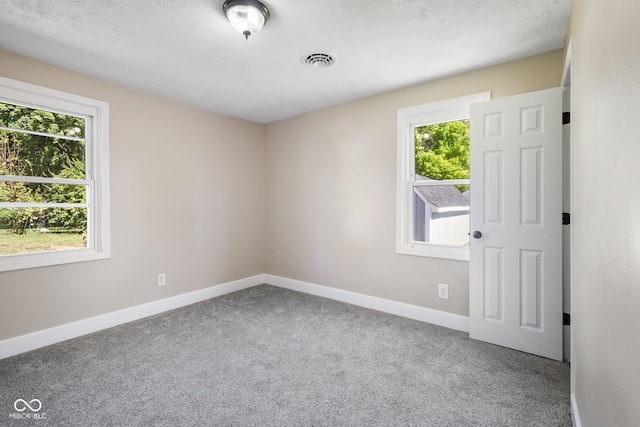 empty room featuring a textured ceiling, plenty of natural light, and carpet flooring