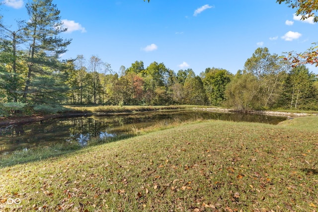 view of yard featuring a water view