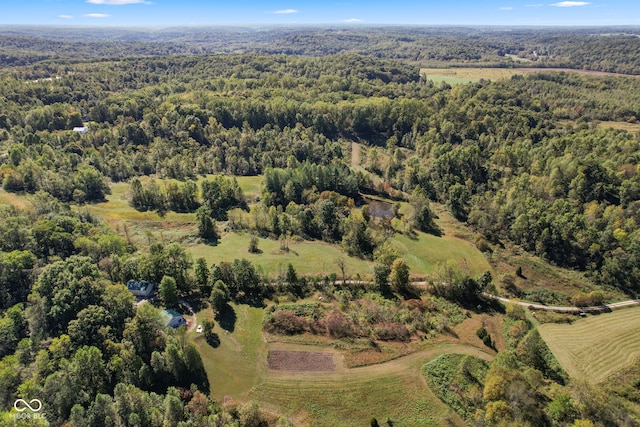 bird's eye view