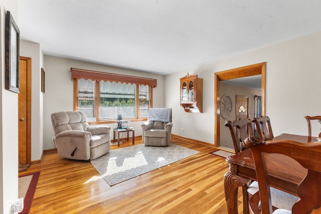 living room with light wood-type flooring