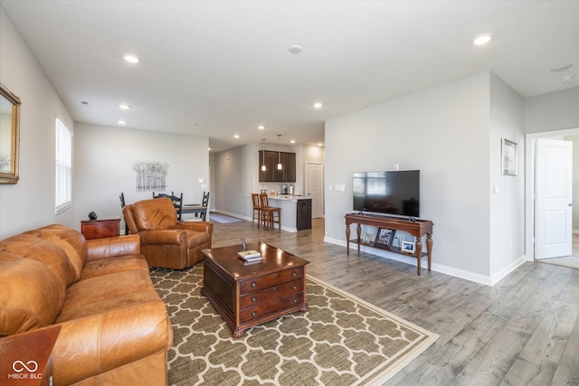 living room featuring hardwood / wood-style flooring