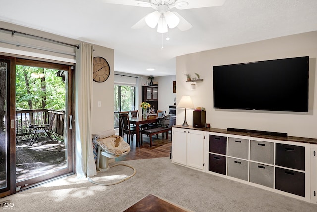 living room featuring ceiling fan and carpet