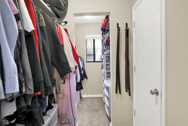 spacious closet with light colored carpet