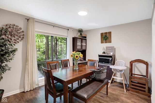 dining space featuring dark wood-type flooring