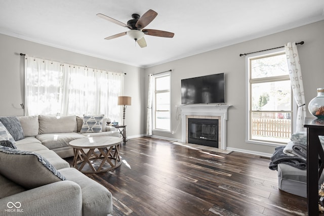 living room featuring ceiling fan, a fireplace, crown molding, and dark hardwood / wood-style flooring