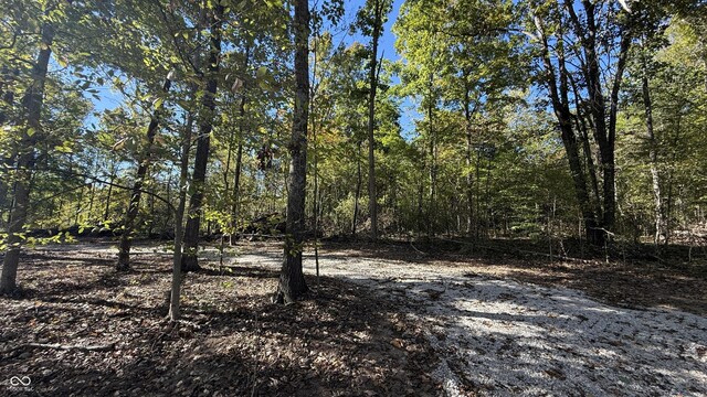 4 E Mineral Koleen Rd, Owensburg, IN 47453 - photo 14
