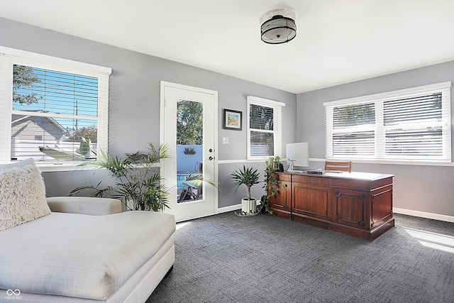 carpeted office with plenty of natural light