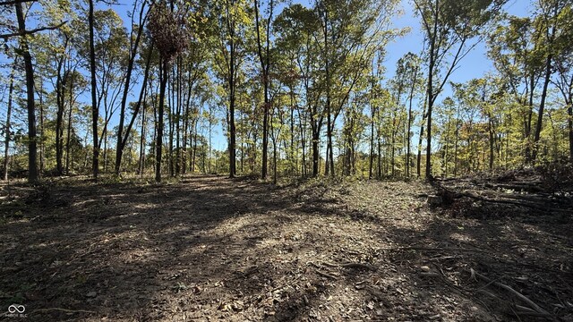 9 E Mineral Koleen Rd, Owensburg, IN 47453 - photo 10
