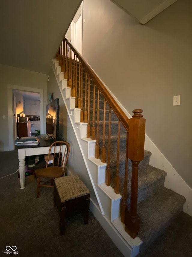 stairs featuring carpet flooring